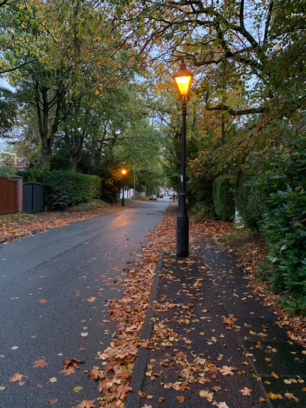 What I talk about when I talk about&nbsp;Autumn…🍂