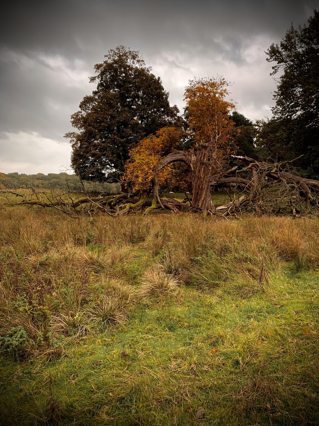 If Autumn were a&nbsp;song…🎼