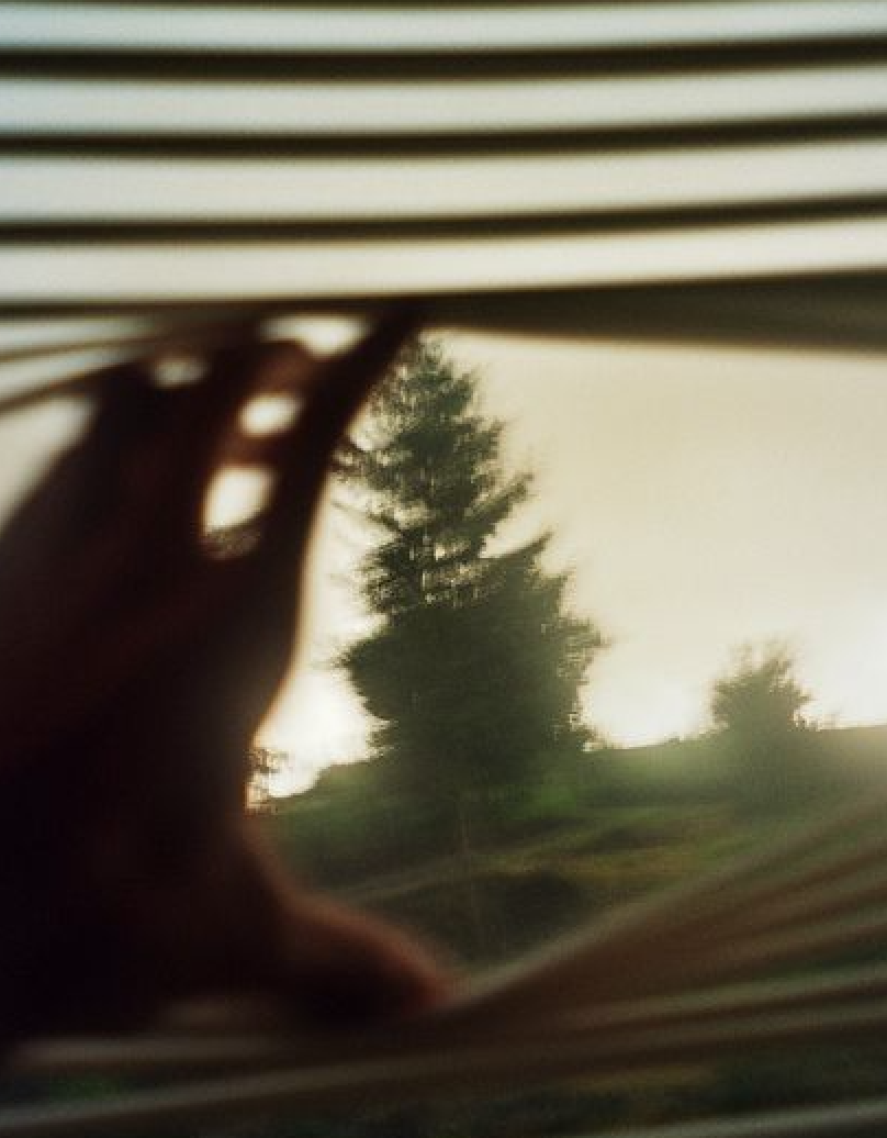 The bay window…🪟